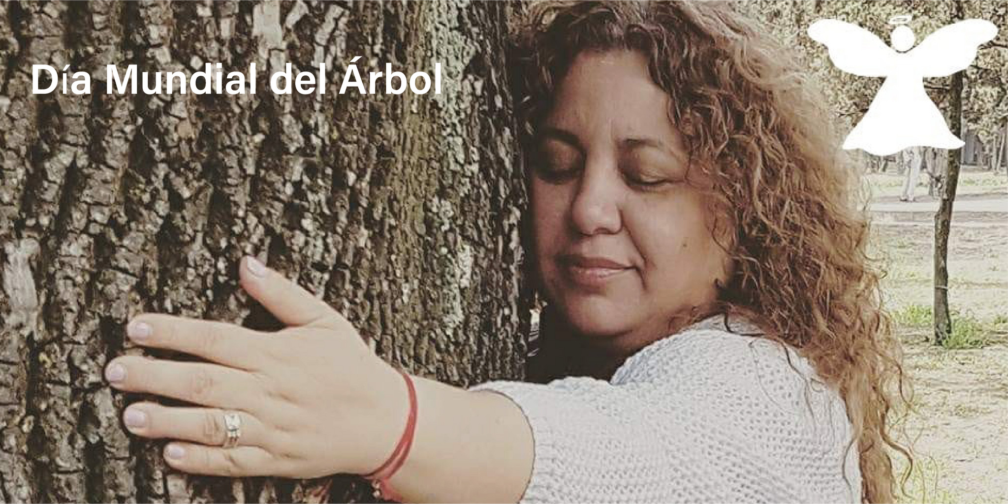 Día Mundial del Árbol. ¿Conoces el árbol que te corresponde?